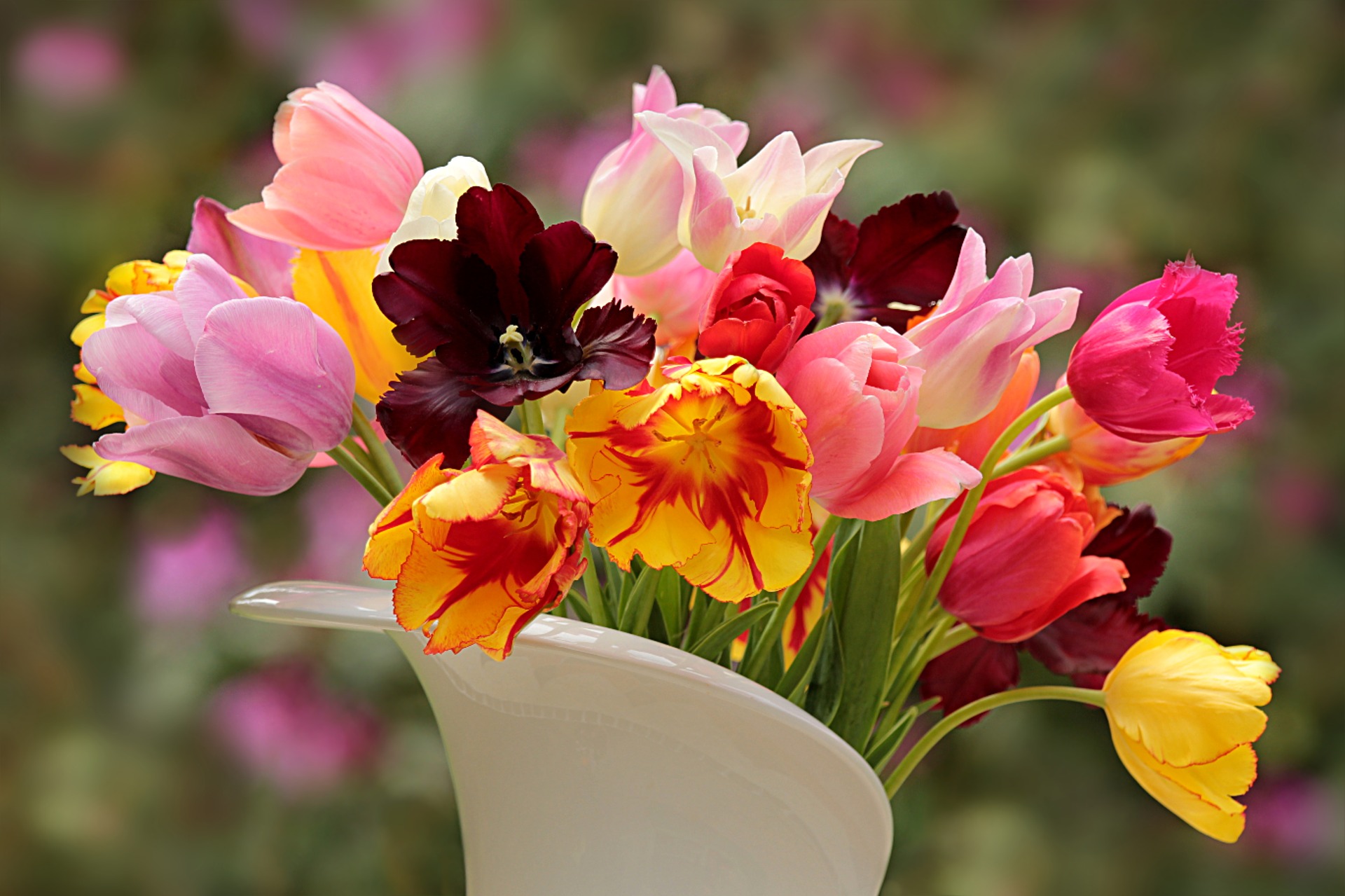 Co Zrobic Aby Ciete Kwiaty W Wazonie Dluzej Zdobily Nasze Wnetrze 5 Praktycznych Porad Syneko Pl